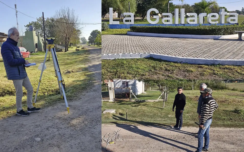 La gallareta