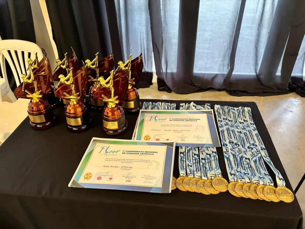 WhatsApp Image 2024-10-12 at 16.53.54 (1)