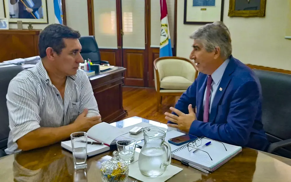 Gallareta