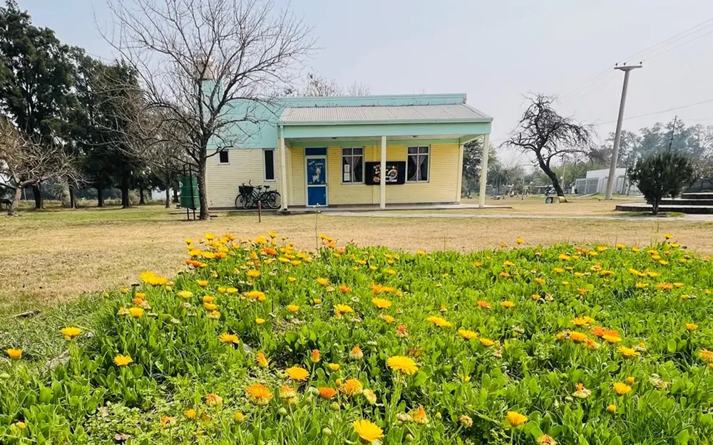 Escuela
