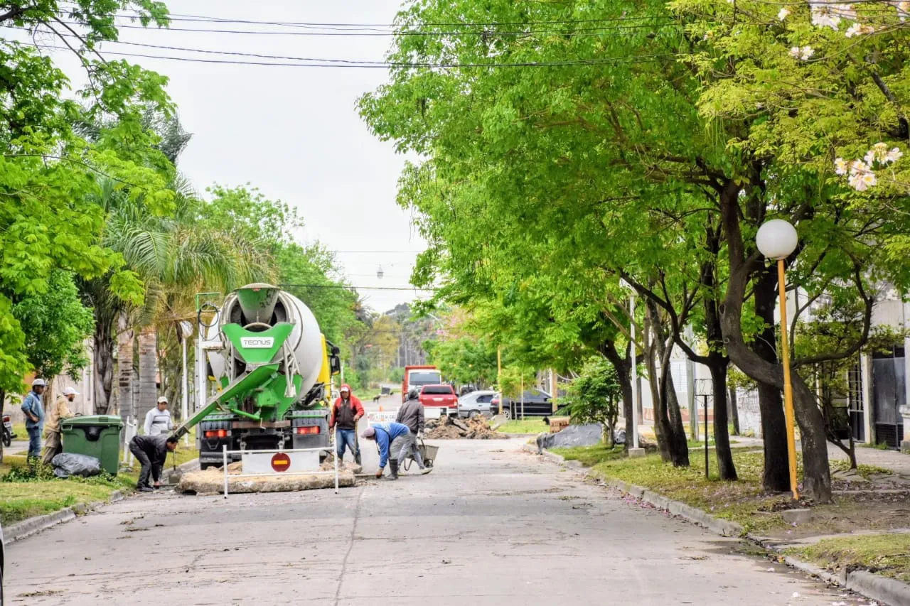 WhatsApp Image 2024-10-09 at 11.26.46