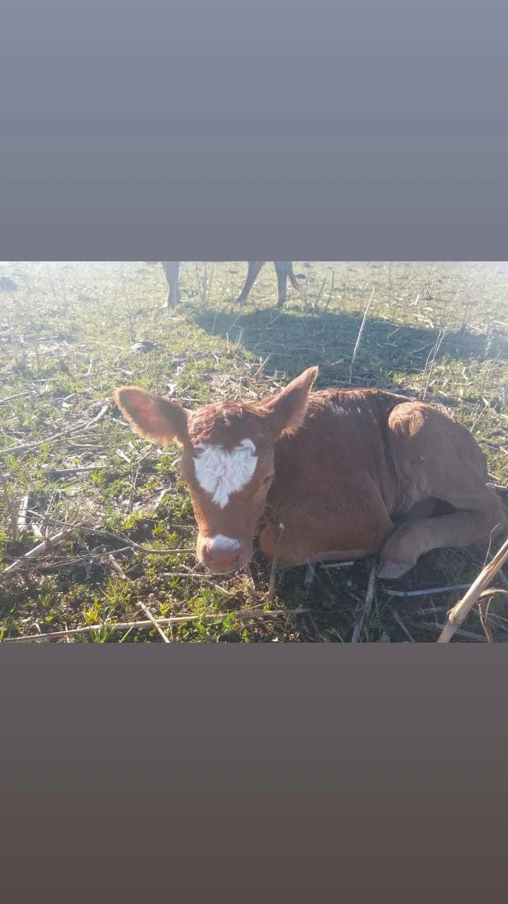 WhatsApp Image 2024-10-25 at 08.28.45